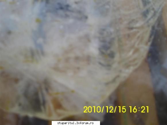 Punga la putere - Din greşeală am postat poza unui roi - HRANIREA ARTIFICIALA