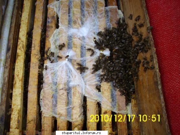 Punga la putere - O familie bunicică goleşte pungile - HRANIREA ARTIFICIALA