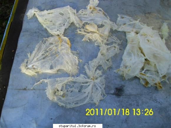 Punga la putere - Am uitat poza. Valer Bodea - HRANIREA ARTIFICIALA
