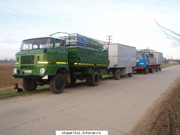 Pupemea - Primul transport / 2008 - PAGINI PERSONALE ! CINE SUNT EU ?