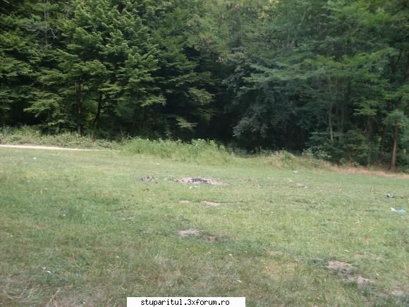 Radomires33 - a mai facut fotografii cu matca la inperecheat - PAGINI PERSONALE ! CINE SUNT EU ?