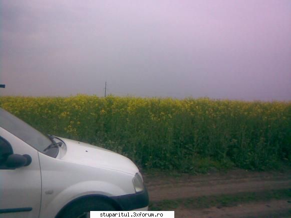 Rapita - cu Loganu' ca Aro inca nu are ITP - BAZA MELIFERA - PLANTE , ARBUSTI , ARBORI