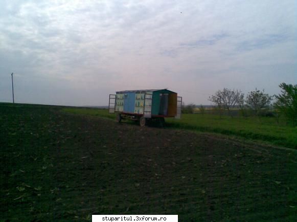 Rapita - noaptea trecuta am reusit si eu sa mut stupii la - BAZA MELIFERA - PLANTE , ARBUSTI , ARBORI