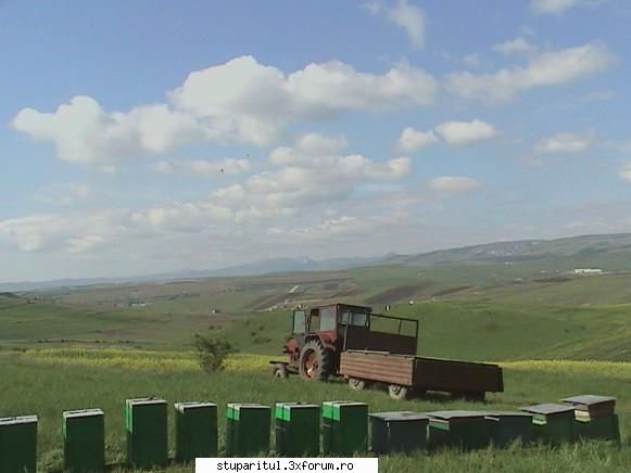 Rapita 2008 - Sa fie numai vreme buna.....ca rapita e in toi - POZE