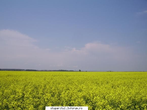 Rapita 2008 - Zip2006 - POZE