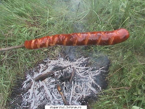 Rapita 2008 - Daca tot e 1 Mai tre sa sarbatorim cumva nu?? - POZE