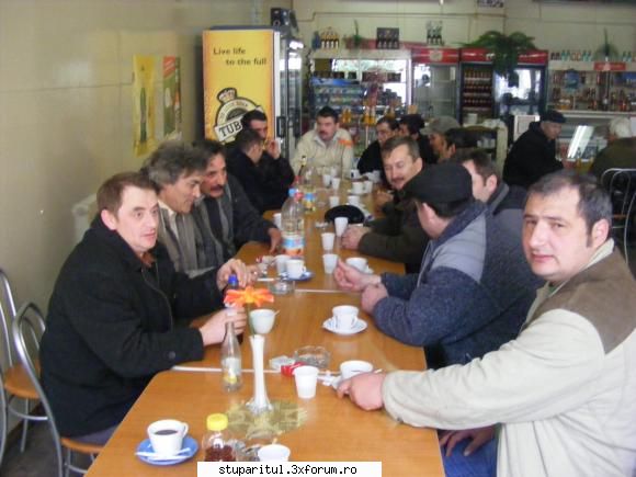 Recunoastere din fotografie - tedy.albinutza - PAGINI PERSONALE ! CINE SUNT EU ?
