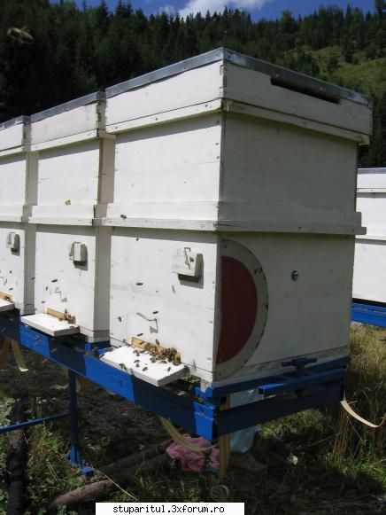 Remorcă pt 50-70 de lazi - AdyT - ECHIPAMENTE SI UTILAJE APICOLE