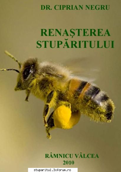 Renasterea Stuparitului - Ceva vreme in urma am promis ca voi scrie o - DISCUTII APICOLE DIVERSE