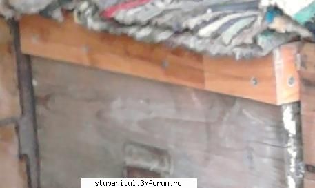 Rigidizare stupi pentru transport - i-a baga matale detalii .... cum "identifici" - DISCUTII APICOLE DIVERSE