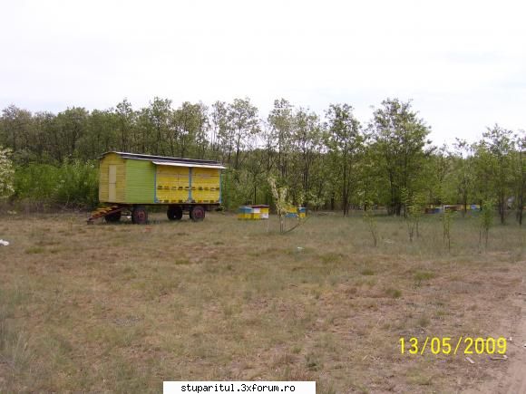 Salc�m 2009-stupine in pastoral,Horea-SM - Stupina Berinde - POZE