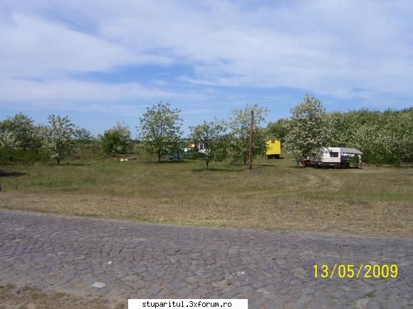 Salc�m 2009-stupine in pastoral,Horea-SM - Stupina Marius (Bel) - POZE