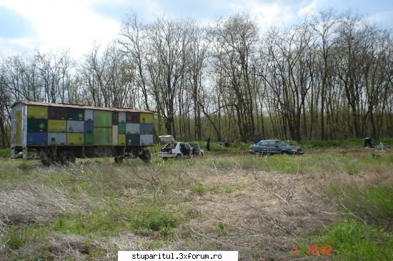 Salcam 2006 - in asteptarea mierii mult dorite - POZE