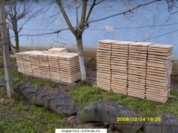Scandura pentru stupi - Multumesc pentru raspunsuri.Scandura am taiat-o - ECHIPAMENTE SI UTILAJE APICOLE