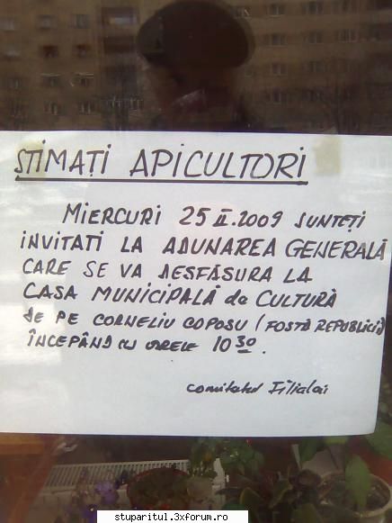 Sedinta ACA in Salaj - Am gasit si o instintare fixata in geam - CALENDAR APICOL - EVENIMENTE APICOLE