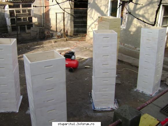 Socoteala lucrarilor - Intervalul 22-25 martie aprox. 20*C Strans - JURNAL DE APICULTOR - JURNALE PERSONALE