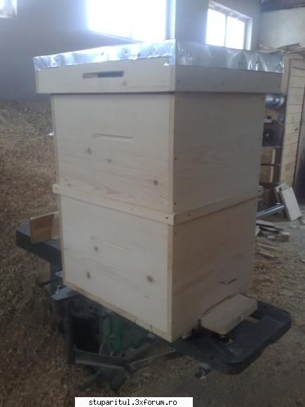 vand stupi verticali, cu urmatoarea : cuib 10 rame, cat 1/1, podisor, capac , 30 de zile stupi