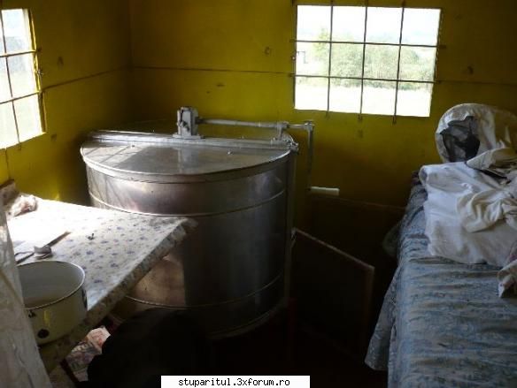Stupii mei - Scuze pt deranj si pat nefacut - PAGINI PERSONALE ! CINE SUNT EU ?