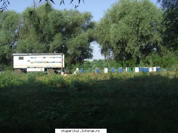 Stupii mei - Delta, pofta ce-am poftit - PAGINI PERSONALE ! CINE SUNT EU ?