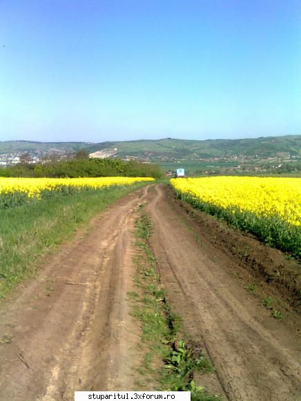 Stupina Mea Alex_Sa - alex_sa - POZE