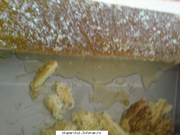 Stupina Mea Alex_Sa - alex_sa - POZE