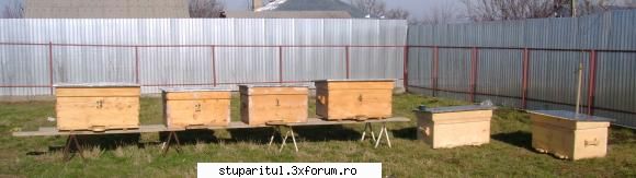 Stupina PungaFlorin - am inceput sa adun stupi pe care i-am cumparat in - POZE