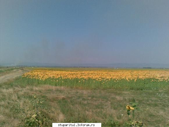 Stupina PungaFlorin - nu am mai avut rabdare , asa ca am coborat la - POZE