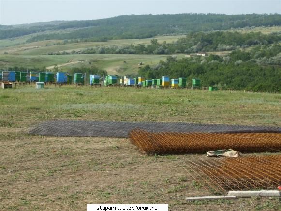 Stupina lui Lucian - una de la distanta Stupina fiind majoritara a lui - POZE