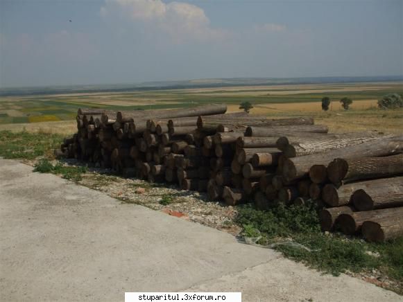 Stupina lui Lucian - Inca o poza cu materialul pentu rame - POZE