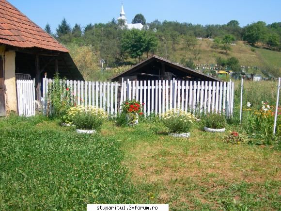 Stupina mea - balasbebe - POZE