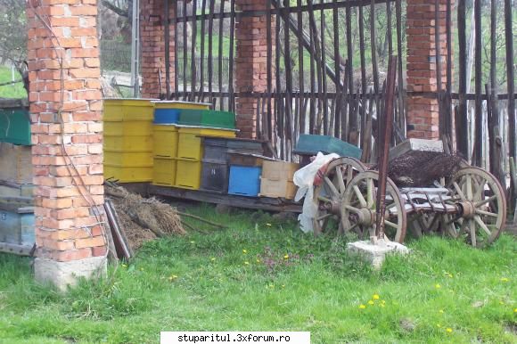 Stupina mea - A fost cindva un car - POZE