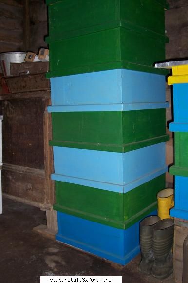 Stupina mea - nelu55 - POZE