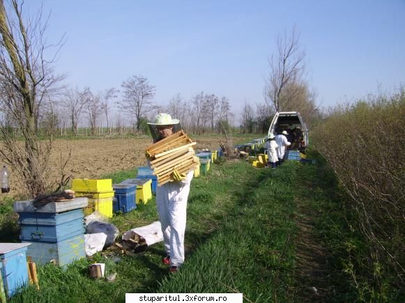 Stupina mea - Zip2006 - POZE