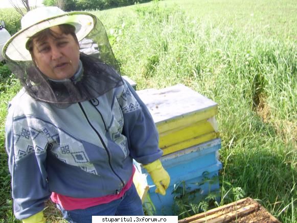Stupina mea - Isi mai trage rasuflarea - POZE