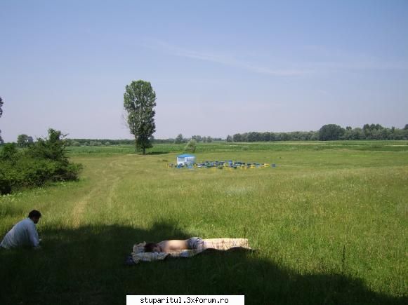 Stupina mea - In asteptarea primei extractii - POZE