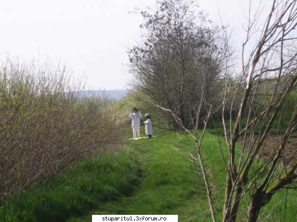 Stupina mea - Peria numai la nevoie ,iar cu trupa mea in 8 ore - POZE