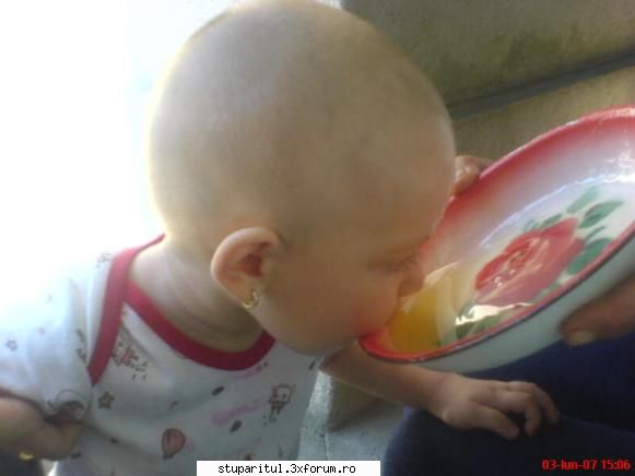 Stupina mea - Cel mai mare consumator de miere al familiei - POZE