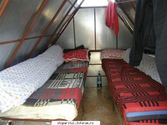Stupine de hoby - poza 5. Este un dormitor confortabil, sub paturi - POZE