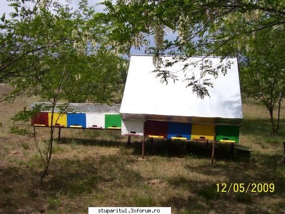 Stupine de hoby - neculai.luca - POZE