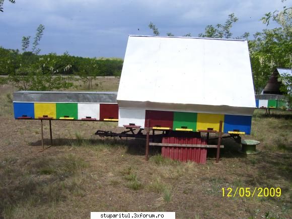 Stupine de hoby - neculai.luca - POZE