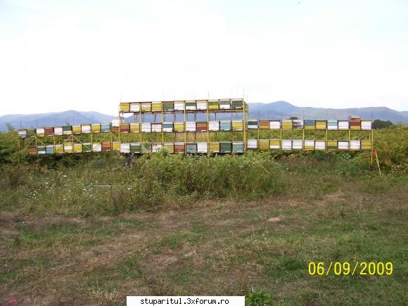 Stupine de hoby - Iată o remorcă cu 110 stupi in - POZE