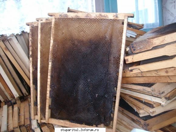 Stupul Layens - un adapost ideal pentru albine - valy_cot - CAFENEA - DISCUTII DESPRE ORICE