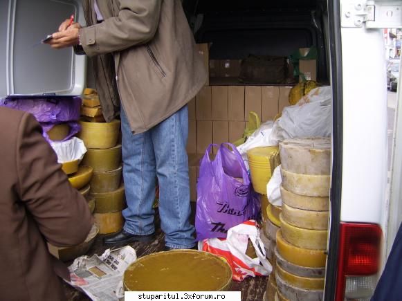 Suceava 2008 - Zip2006 - POZE