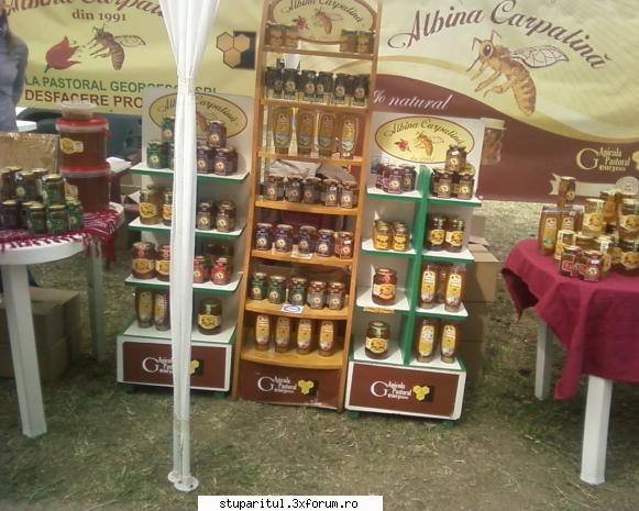 TARGUL NATIONAL AL MIERII BUCURESTI 2010.Propun un concurs. - albinelor419 - CALENDAR APICOL - EVENIMENTE APICOLE