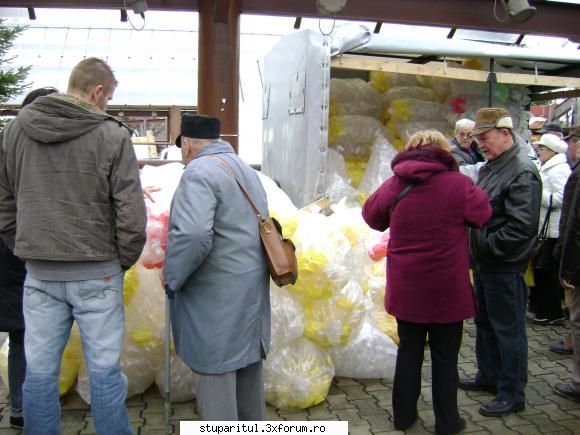 TARG Apicol SZEKESFEHERVAR UNGARIA - alt stupar - CALENDAR APICOL - EVENIMENTE APICOLE