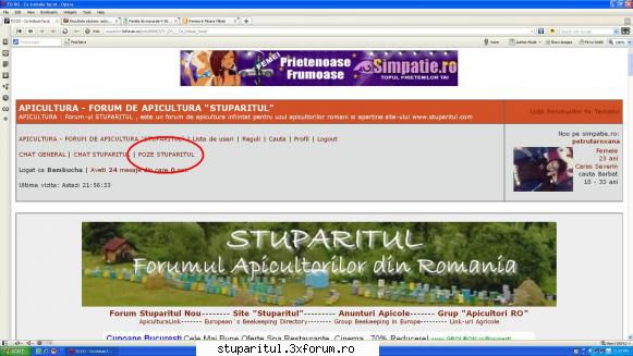 TO DO - Ce trebuie facut - Bambucha - CAFENEA - DISCUTII DESPRE ORICE