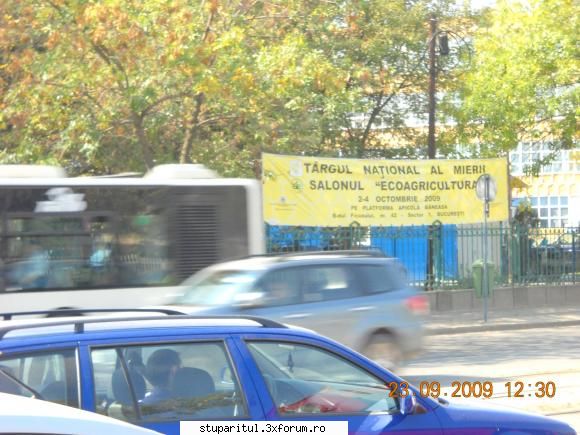 Targ apicol Bucuresti - proapi - CALENDAR APICOL - EVENIMENTE APICOLE