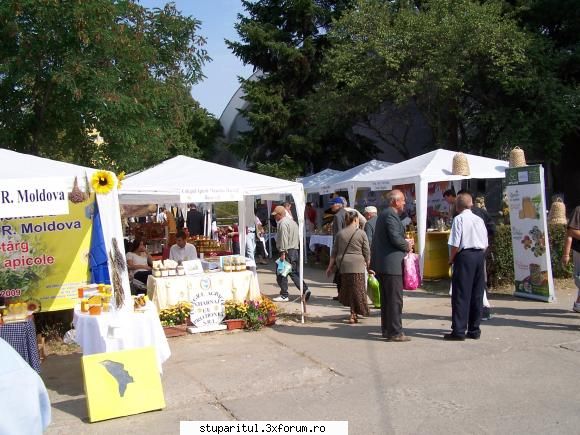 Targ apicol Bucuresti - vreme frumoasa vineri...numai buna de baut o - CALENDAR APICOL - EVENIMENTE APICOLE