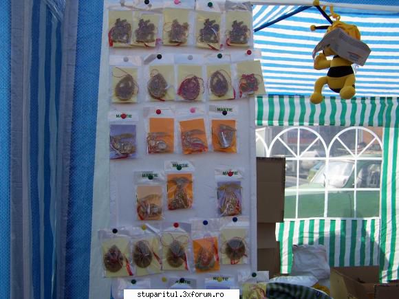 Targul Apicol Iasi 2011 - martisoare de ceara-"Ovis.n"-Prahova-fam - CALENDAR APICOL - EVENIMENTE APICOLE