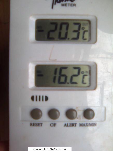 Temperaturi scazute - la noi sunt temperaturi mai scazute, decat ne - DISCUTII APICOLE DIVERSE